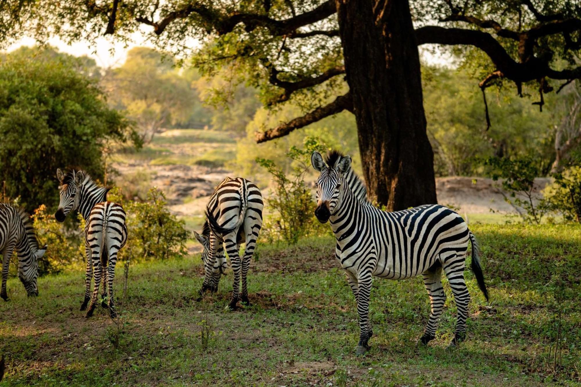 Radisson Blu Mosi-Oa-Tunya Livingstone Resort Bagian luar foto