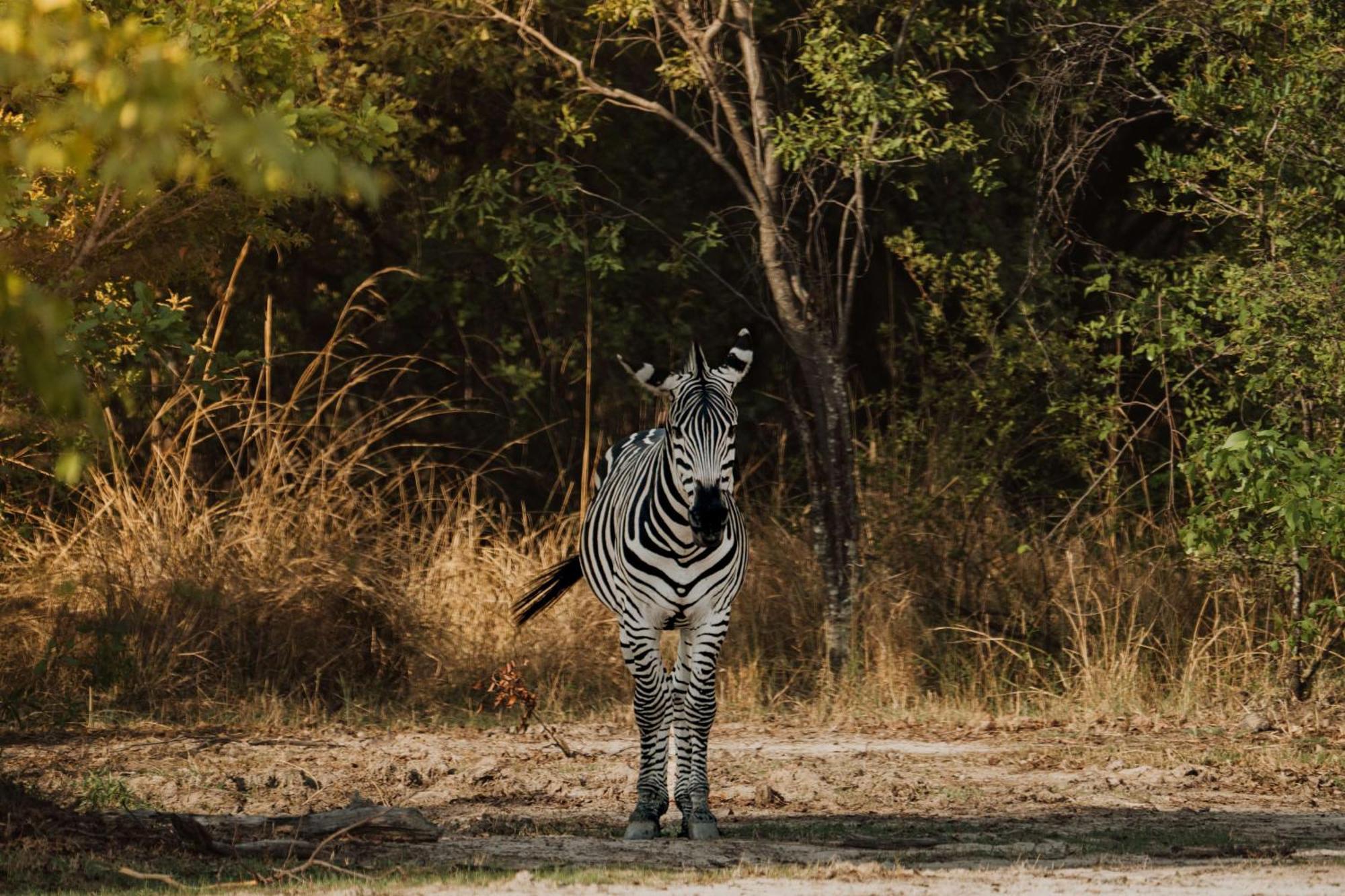 Radisson Blu Mosi-Oa-Tunya Livingstone Resort Bagian luar foto